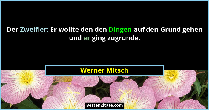 Der Zweifler: Er wollte den den Dingen auf den Grund gehen und er ging zugrunde.... - Werner Mitsch