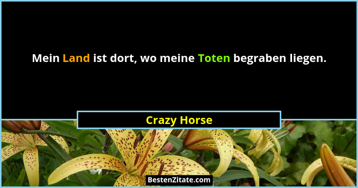 Mein Land ist dort, wo meine Toten begraben liegen.... - Crazy Horse