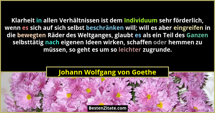 Klarheit in allen Verhältnissen ist dem Individuum sehr förderlich, wenn es sich auf sich selbst beschränken will; will e... - Johann Wolfgang von Goethe