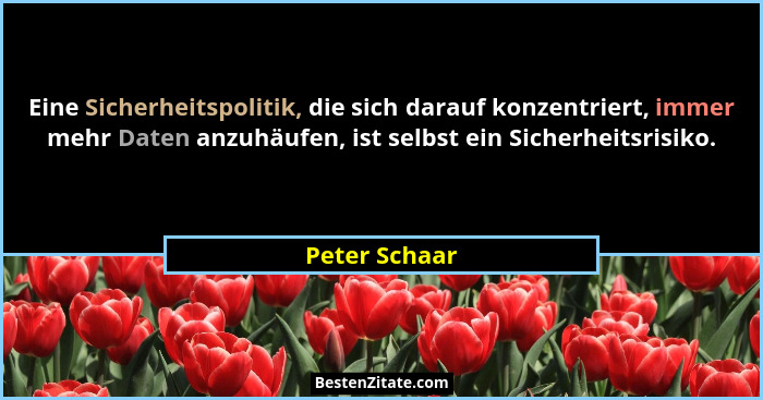 Eine Sicherheitspolitik, die sich darauf konzentriert, immer mehr Daten anzuhäufen, ist selbst ein Sicherheitsrisiko.... - Peter Schaar