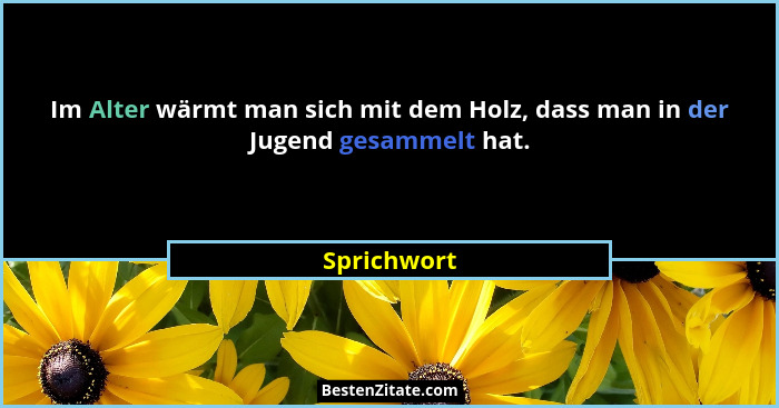 Im Alter wärmt man sich mit dem Holz, dass man in der Jugend gesammelt hat.... - Sprichwort