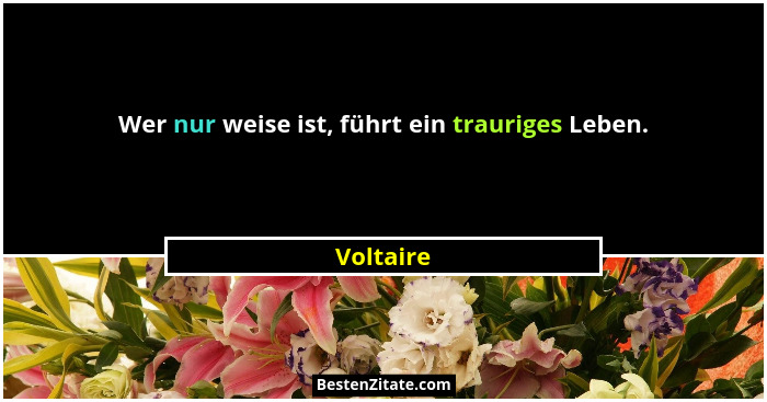 Wer nur weise ist, führt ein trauriges Leben.... - Voltaire