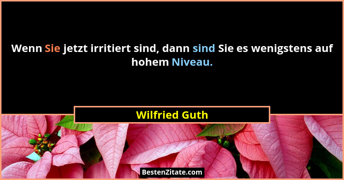 Wenn Sie jetzt irritiert sind, dann sind Sie es wenigstens auf hohem Niveau.... - Wilfried Guth