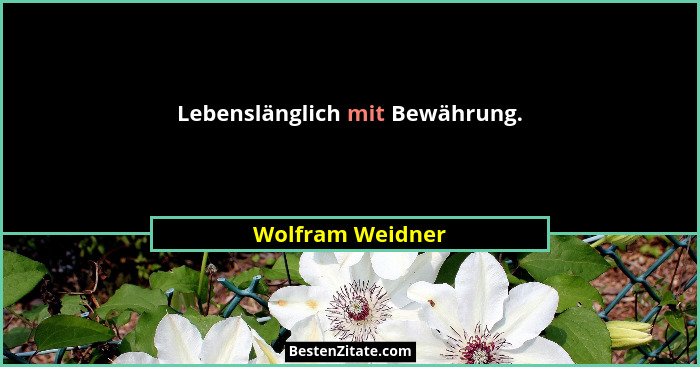 Lebenslänglich mit Bewährung.... - Wolfram Weidner