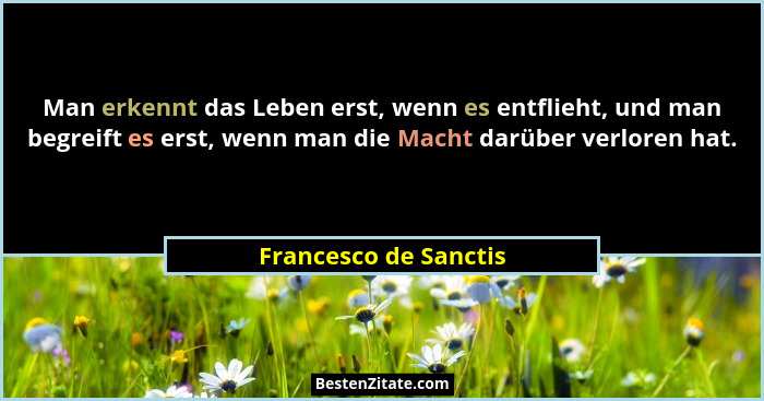 Man erkennt das Leben erst, wenn es entflieht, und man begreift es erst, wenn man die Macht darüber verloren hat.... - Francesco de Sanctis