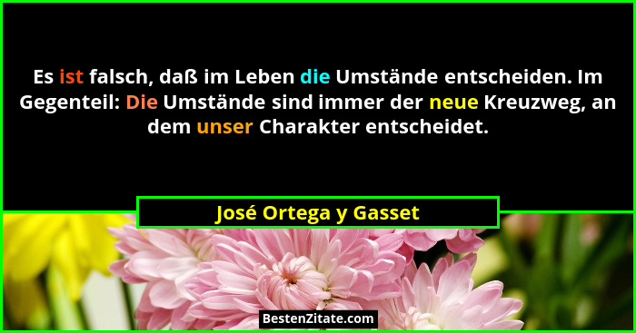 Es ist falsch, daß im Leben die Umstände entscheiden. Im Gegenteil: Die Umstände sind immer der neue Kreuzweg, an dem unser Cha... - José Ortega y Gasset