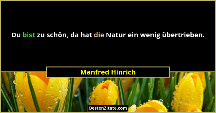 Du bist zu schön, da hat die Natur ein wenig übertrieben.... - Manfred Hinrich