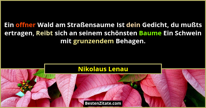 Ein offner Wald am Straßensaume Ist dein Gedicht, du mußts ertragen, Reibt sich an seinem schönsten Baume Ein Schwein mit grunzendem... - Nikolaus Lenau