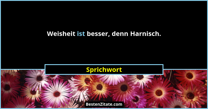 Weisheit ist besser, denn Harnisch.... - Sprichwort