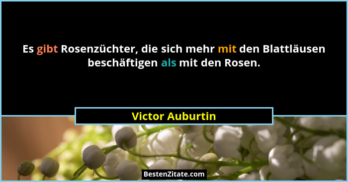 Es gibt Rosenzüchter, die sich mehr mit den Blattläusen beschäftigen als mit den Rosen.... - Victor Auburtin