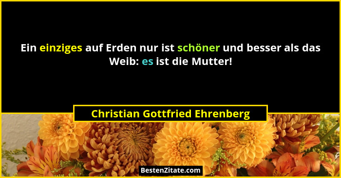 Ein einziges auf Erden nur ist schöner und besser als das Weib: es ist die Mutter!... - Christian Gottfried Ehrenberg
