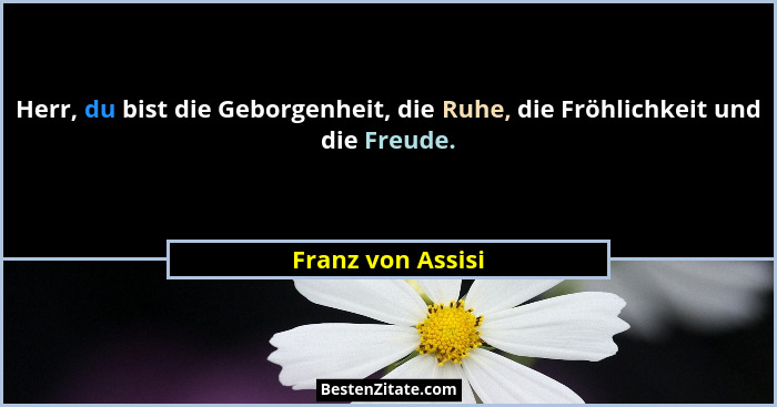 Herr, du bist die Geborgenheit, die Ruhe, die Fröhlichkeit und die Freude.... - Franz von Assisi