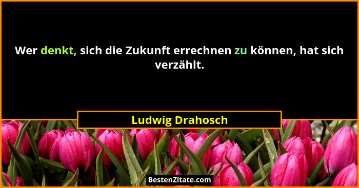 Wer denkt, sich die Zukunft errechnen zu können, hat sich verzählt.... - Ludwig Drahosch