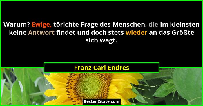 Warum? Ewige, törichte Frage des Menschen, die im kleinsten keine Antwort findet und doch stets wieder an das Größte sich wagt.... - Franz Carl Endres