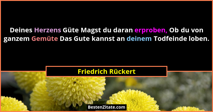Deines Herzens Güte Magst du daran erproben, Ob du von ganzem Gemüte Das Gute kannst an deinem Todfeinde loben.... - Friedrich Rückert