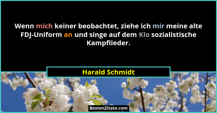 Wenn mich keiner beobachtet, ziehe ich mir meine alte FDJ-Uniform an und singe auf dem Klo sozialistische Kampflieder.... - Harald Schmidt