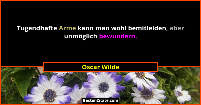 Tugendhafte Arme kann man wohl bemitleiden, aber unmöglich bewundern.... - Oscar Wilde