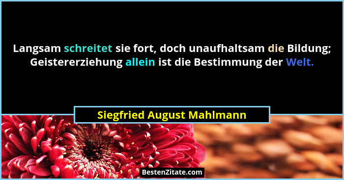 Langsam schreitet sie fort, doch unaufhaltsam die Bildung; Geistererziehung allein ist die Bestimmung der Welt.... - Siegfried August Mahlmann