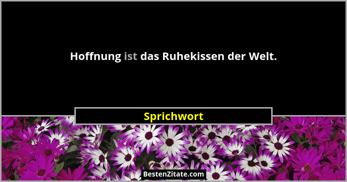 Hoffnung ist das Ruhekissen der Welt.... - Sprichwort