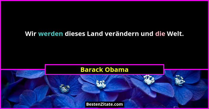 Wir werden dieses Land verändern und die Welt.... - Barack Obama
