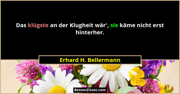 Das klügste an der Klugheit wär', sie käme nicht erst hinterher.... - Erhard H. Bellermann