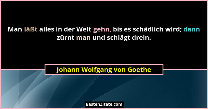 Man läßt alles in der Welt gehn, bis es schädlich wird; dann zürnt man und schlägt drein.... - Johann Wolfgang von Goethe