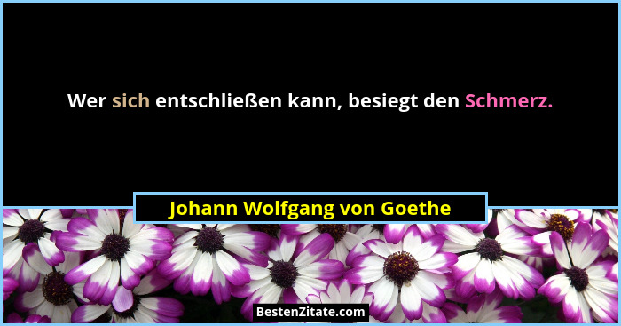 Wer sich entschließen kann, besiegt den Schmerz.... - Johann Wolfgang von Goethe