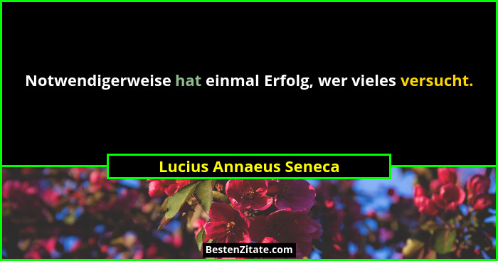 Notwendigerweise hat einmal Erfolg, wer vieles versucht.... - Lucius Annaeus Seneca