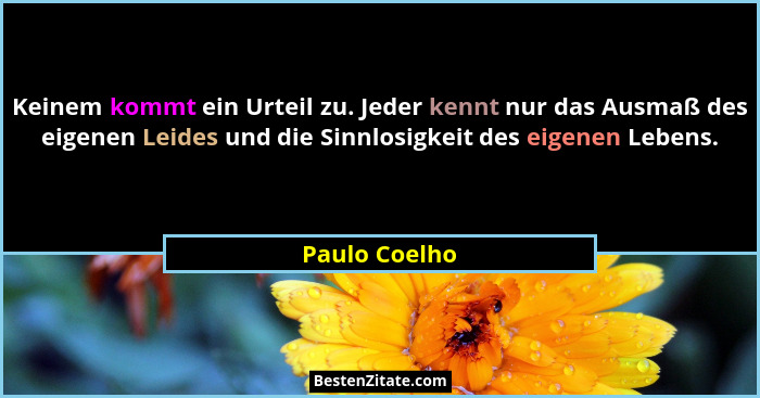 Keinem kommt ein Urteil zu. Jeder kennt nur das Ausmaß des eigenen Leides und die Sinnlosigkeit des eigenen Lebens.... - Paulo Coelho