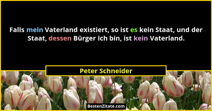 Falls mein Vaterland existiert, so ist es kein Staat, und der Staat, dessen Bürger ich bin, ist kein Vaterland.... - Peter Schneider