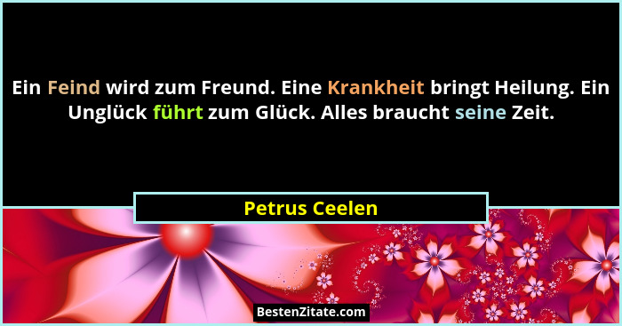 Ein Feind wird zum Freund. Eine Krankheit bringt Heilung. Ein Unglück führt zum Glück. Alles braucht seine Zeit.... - Petrus Ceelen