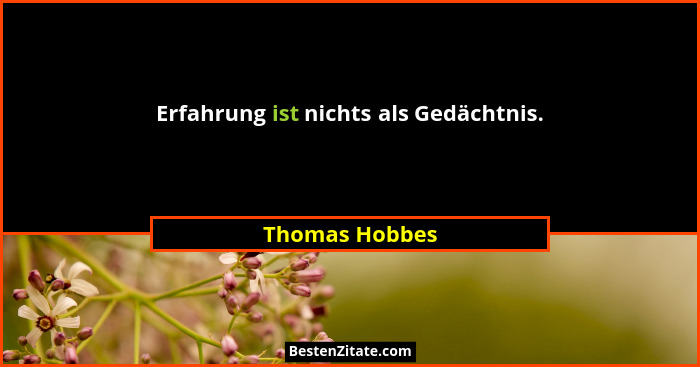 Erfahrung ist nichts als Gedächtnis.... - Thomas Hobbes