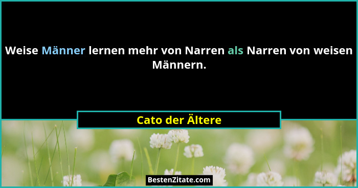 Weise Männer lernen mehr von Narren als Narren von weisen Männern.... - Cato der Ältere