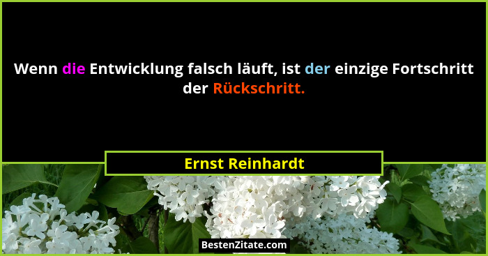 Wenn die Entwicklung falsch läuft, ist der einzige Fortschritt der Rückschritt.... - Ernst Reinhardt