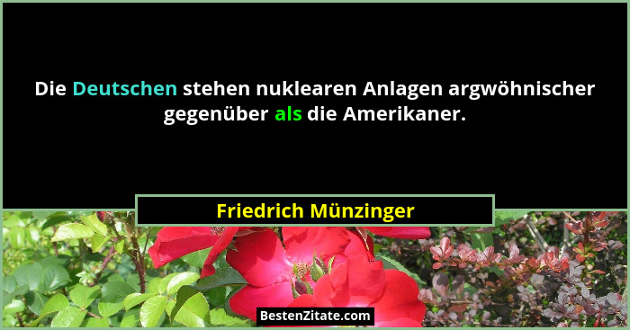 Die Deutschen stehen nuklearen Anlagen argwöhnischer gegenüber als die Amerikaner.... - Friedrich Münzinger