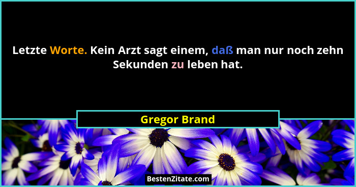 Letzte Worte. Kein Arzt sagt einem, daß man nur noch zehn Sekunden zu leben hat.... - Gregor Brand