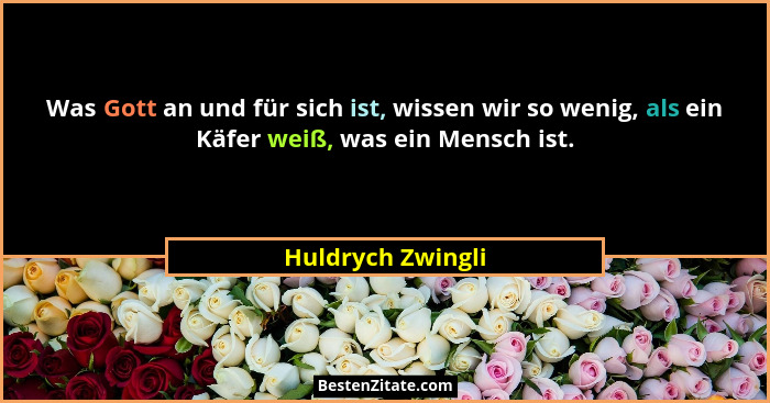Was Gott an und für sich ist, wissen wir so wenig, als ein Käfer weiß, was ein Mensch ist.... - Huldrych Zwingli