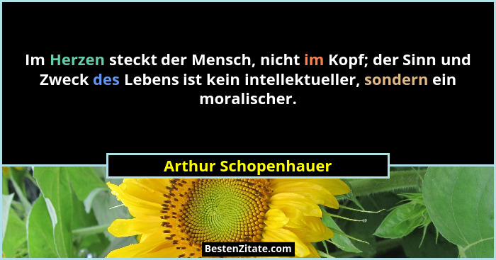 Im Herzen steckt der Mensch, nicht im Kopf; der Sinn und Zweck des Lebens ist kein intellektueller, sondern ein moralischer.... - Arthur Schopenhauer