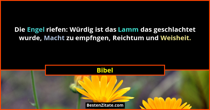 Die Engel riefen: Würdig ist das Lamm das geschlachtet wurde, Macht zu empfngen, Reichtum und Weisheit.... - Bibel