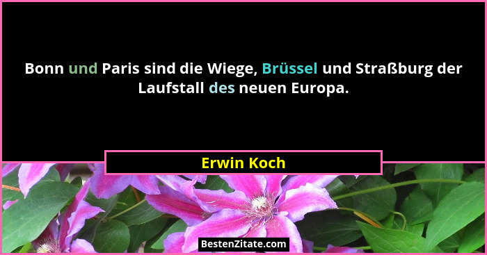 Bonn und Paris sind die Wiege, Brüssel und Straßburg der Laufstall des neuen Europa.... - Erwin Koch