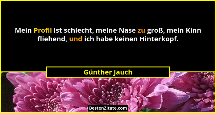 Mein Profil ist schlecht, meine Nase zu groß, mein Kinn fliehend, und ich habe keinen Hinterkopf.... - Günther Jauch