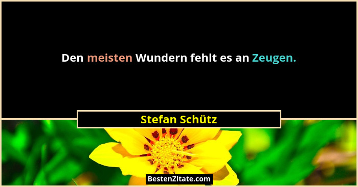 Den meisten Wundern fehlt es an Zeugen.... - Stefan Schütz