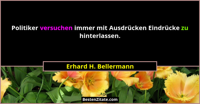 Politiker versuchen immer mit Ausdrücken Eindrücke zu hinterlassen.... - Erhard H. Bellermann