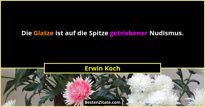 Die Glatze ist auf die Spitze getriebener Nudismus.... - Erwin Koch