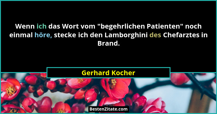 Wenn ich das Wort vom "begehrlichen Patienten" noch einmal höre, stecke ich den Lamborghini des Chefarztes in Brand.... - Gerhard Kocher