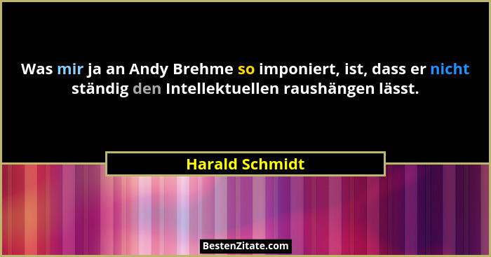 Was mir ja an Andy Brehme so imponiert, ist, dass er nicht ständig den Intellektuellen raushängen lässt.... - Harald Schmidt