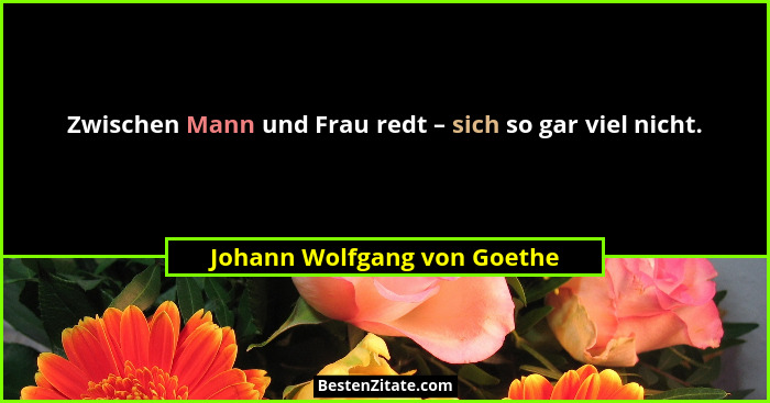 Zwischen Mann und Frau redt – sich so gar viel nicht.... - Johann Wolfgang von Goethe