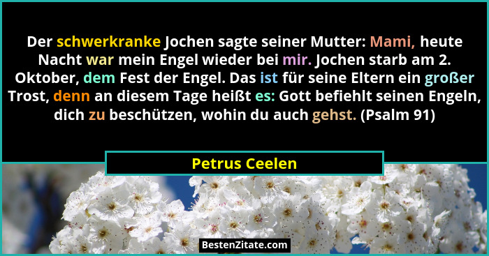 Der schwerkranke Jochen sagte seiner Mutter: Mami, heute Nacht war mein Engel wieder bei mir. Jochen starb am 2. Oktober, dem Fest der... - Petrus Ceelen