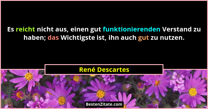 Es reicht nicht aus, einen gut funktionierenden Verstand zu haben; das Wichtigste ist, ihn auch gut zu nutzen.... - René Descartes