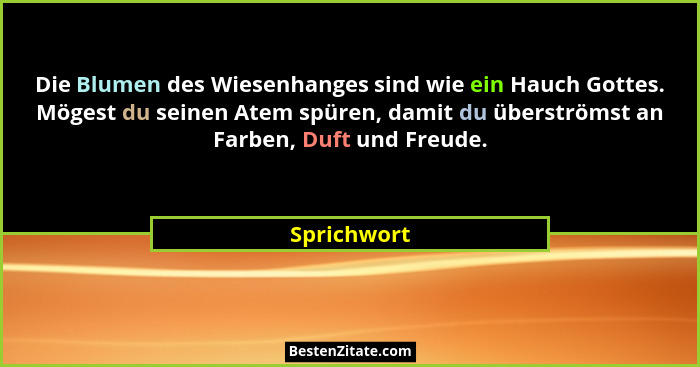 Die Blumen des Wiesenhanges sind wie ein Hauch Gottes. Mögest du seinen Atem spüren, damit du überströmst an Farben, Duft und Freude.... - Sprichwort